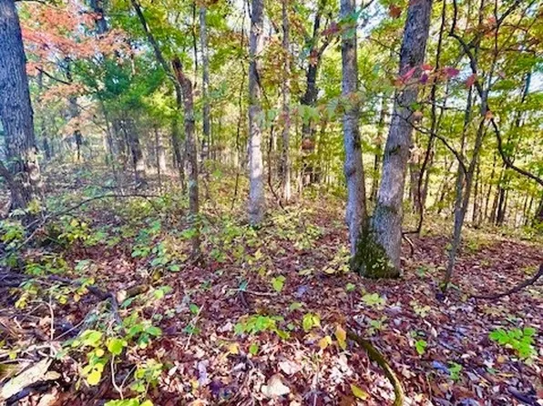 LOT 4 Lakewood Ln, Barnett, MO 65011