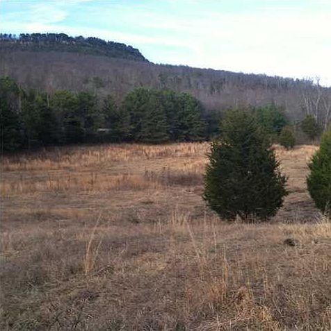 1st image of 0 Highway 299