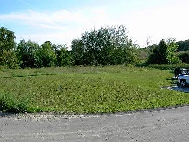 Lawn Area