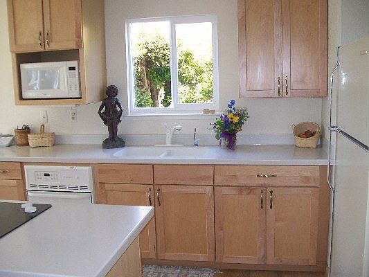 Beautiful Cabinets with roll-out drawers