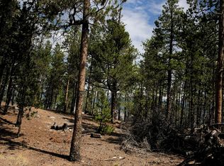 1355 Sequoia Dr, Twin Lakes, CO 81251