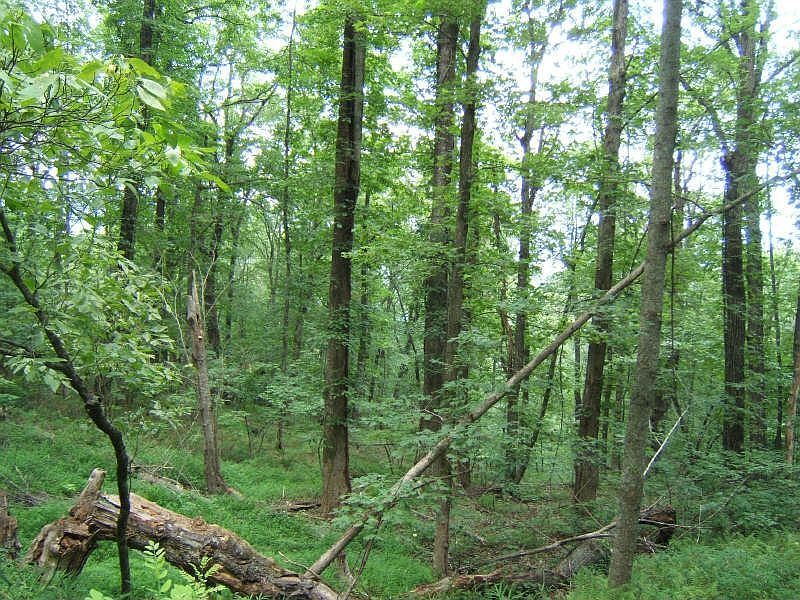 1st image of 240 N Sanderlin Mountain Dr