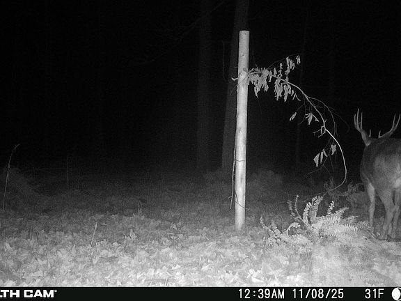5th image of Springbrook Rd