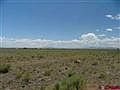 1st image of Vacant Land Capulin