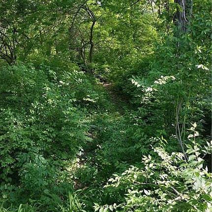 4th image of 9060 State Route 55