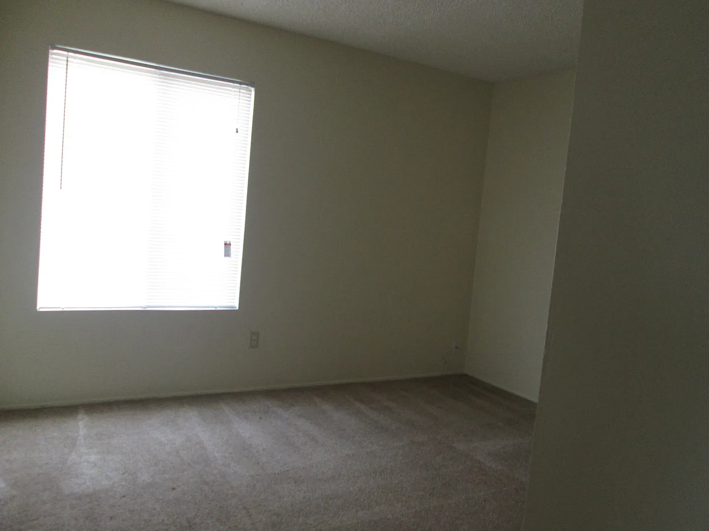 AS2516 — Photo 3