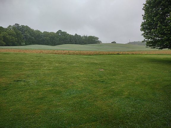 View from back living area