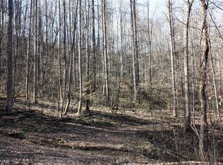 1790 S Fork Rd #B, Stanton, KY 40380