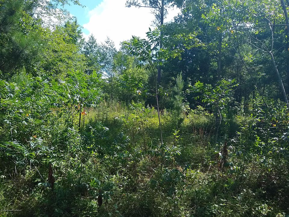2nd image of 4084 Yellow Jacket Rd