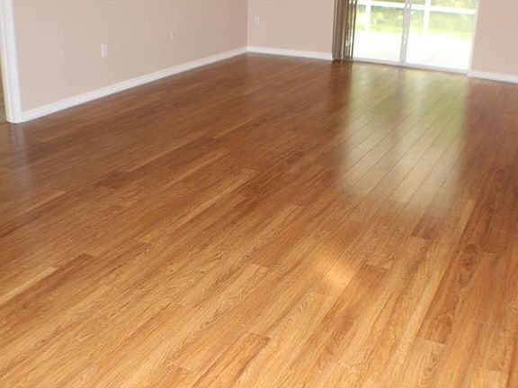 5th image of 10014 Water Fern Cir