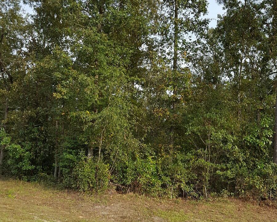 2nd image of Moss Island Rd