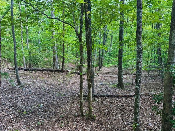 LOT 57 Asheland Cove Dr, Young Harris, GA 30582