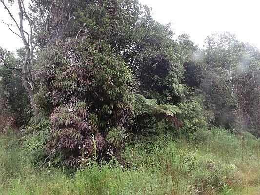 2nd image of Road 4 Lot 174