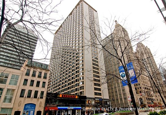 1st image of 535 N Michigan Ave APT 802
