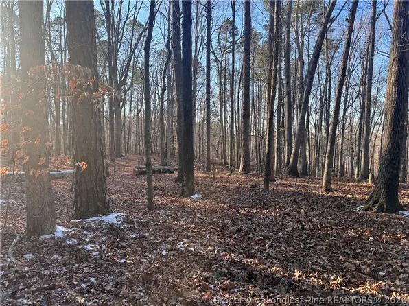 Oldham Lake Rd, Sanford, NC 27330