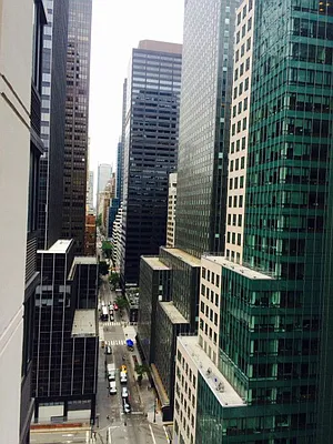 Rented by Jade Stone Real Estate Consulting | media 19