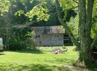 4178 River Rd, Downsville, NY 13755