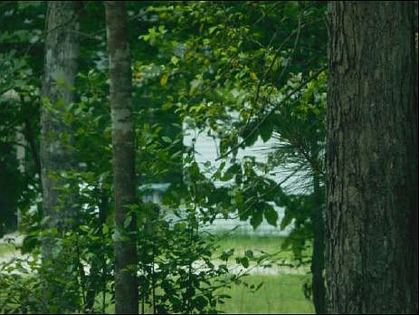 2nd image of 186 Taurus Rd