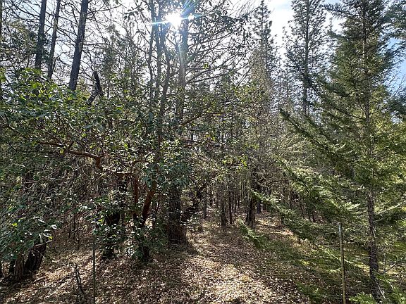 2nd image of 235 Eagle Ridge Dr