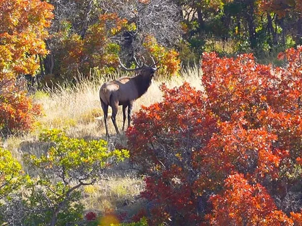 33339 Oak Mesa Road, Hotchkiss, CO 81419