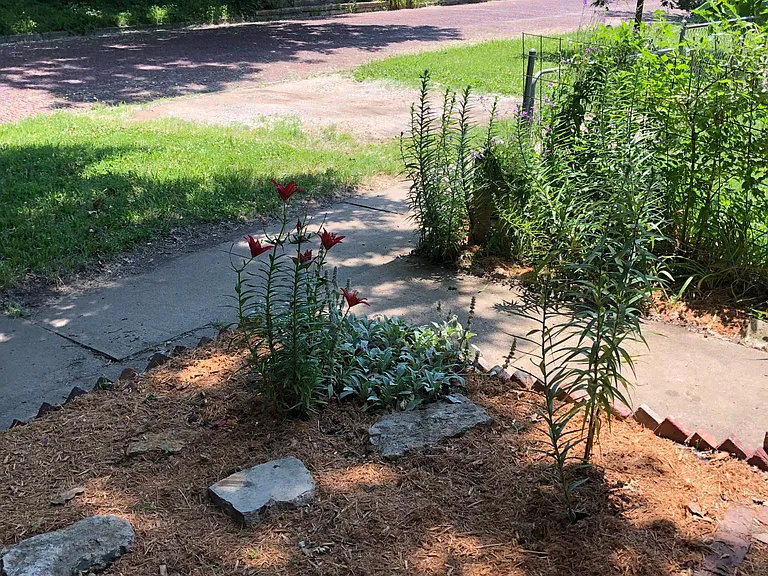 Front garden