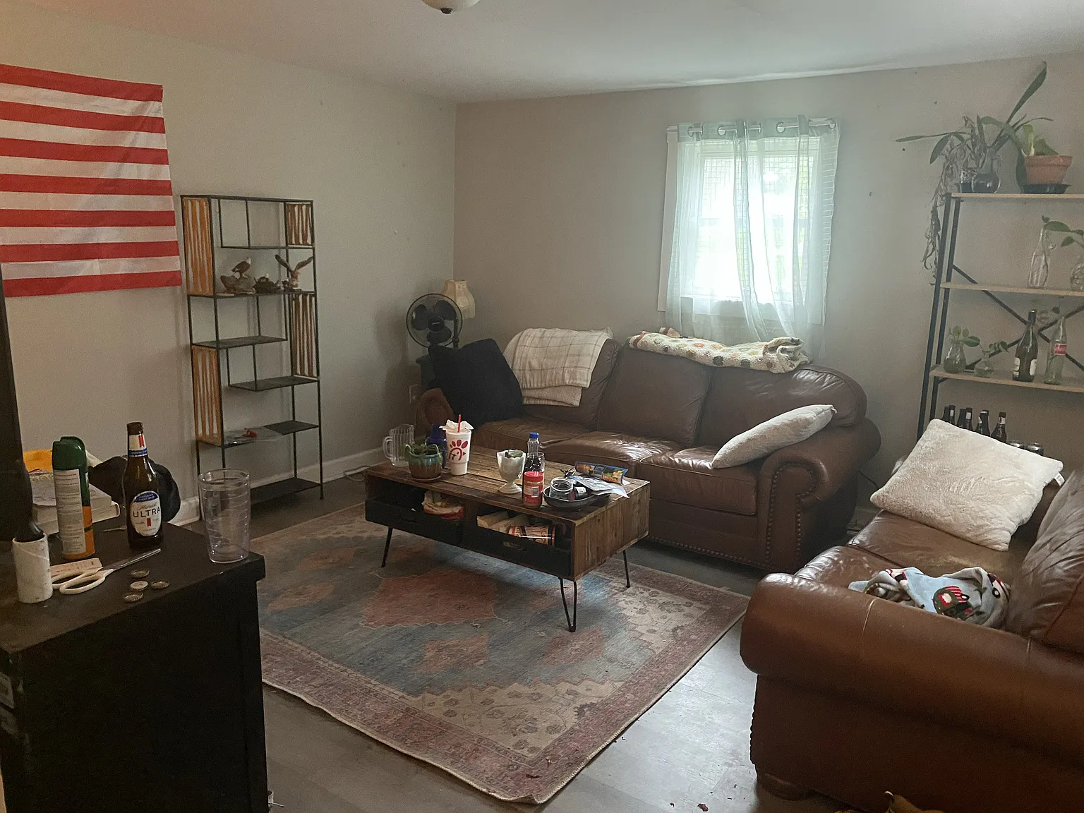 237 Queen St — Photo 3