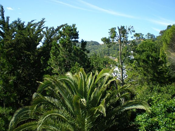 Privacy view from upper deck