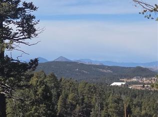 169 Osoeola Rd, Woodland Park, CO 80863