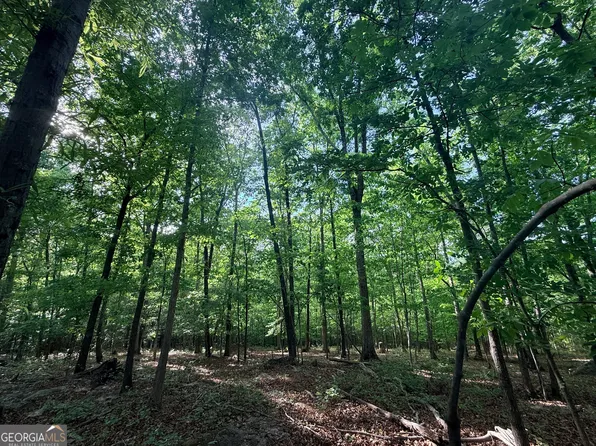 15 Turning Point Way, Elberton, GA 30635