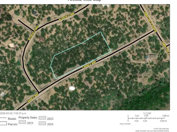 4208 Caprice Way, Crestone, CO 81131