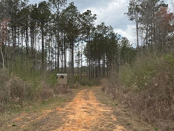 5th image of Cutts Rd