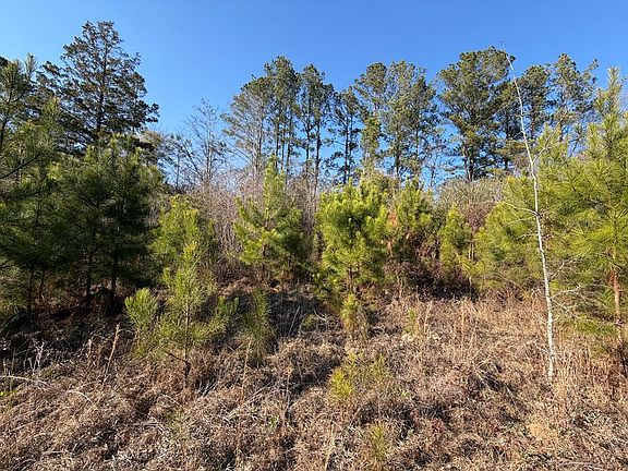 5th image of 0 County Road 201