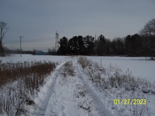 2536 Cove Rd, Goodells, MI 48027