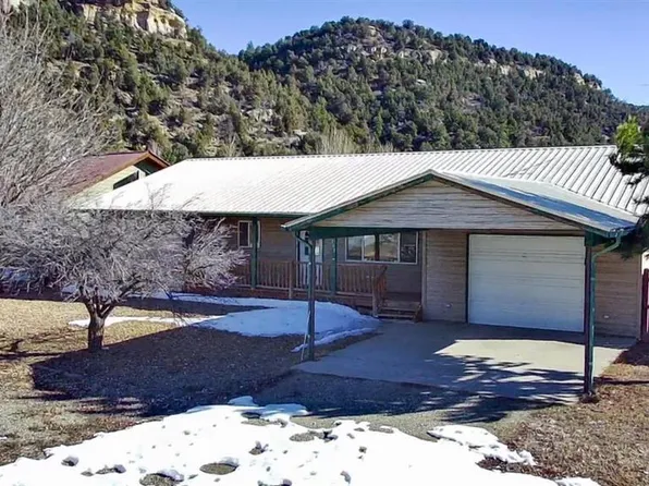 203 N 20th, Dolores, CO 81323