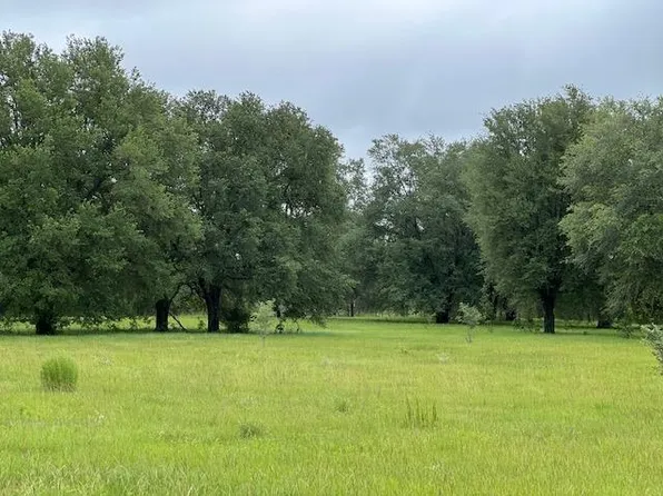 TBD SW 17th Pl, Bell, FL 32619