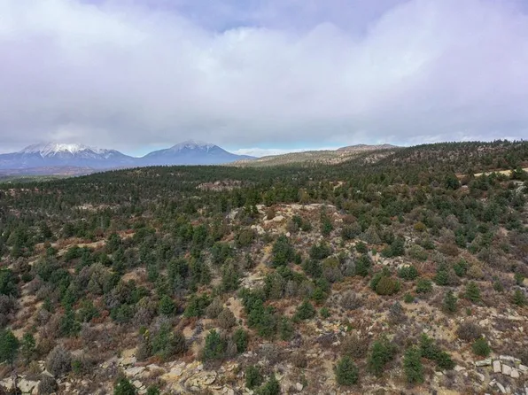 15585 Arrowhead Rd, Weston, CO 81091