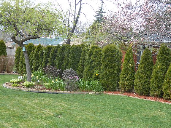 3rd image of 19001 Skyline St