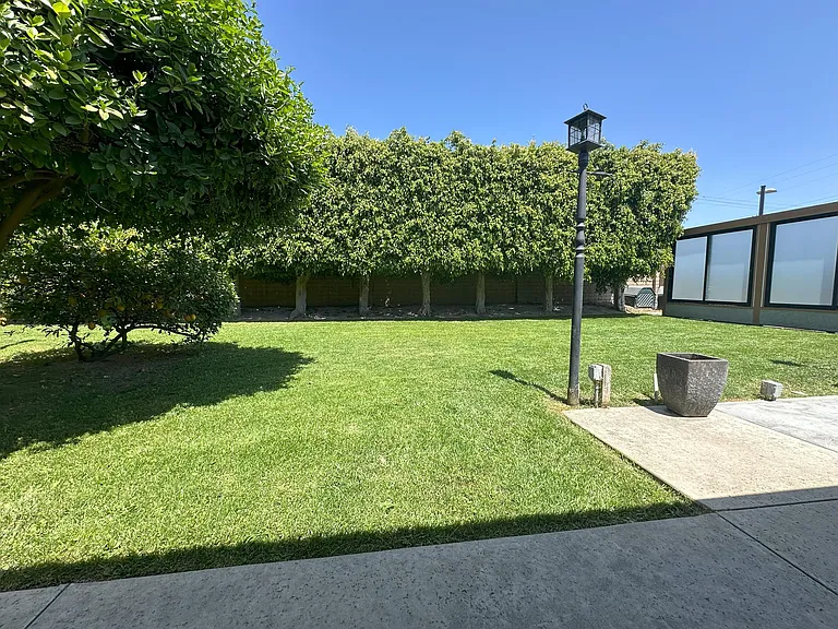 Backyard, mature fruit trees
