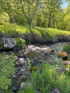 2nd image of 15370 Mallard Rd