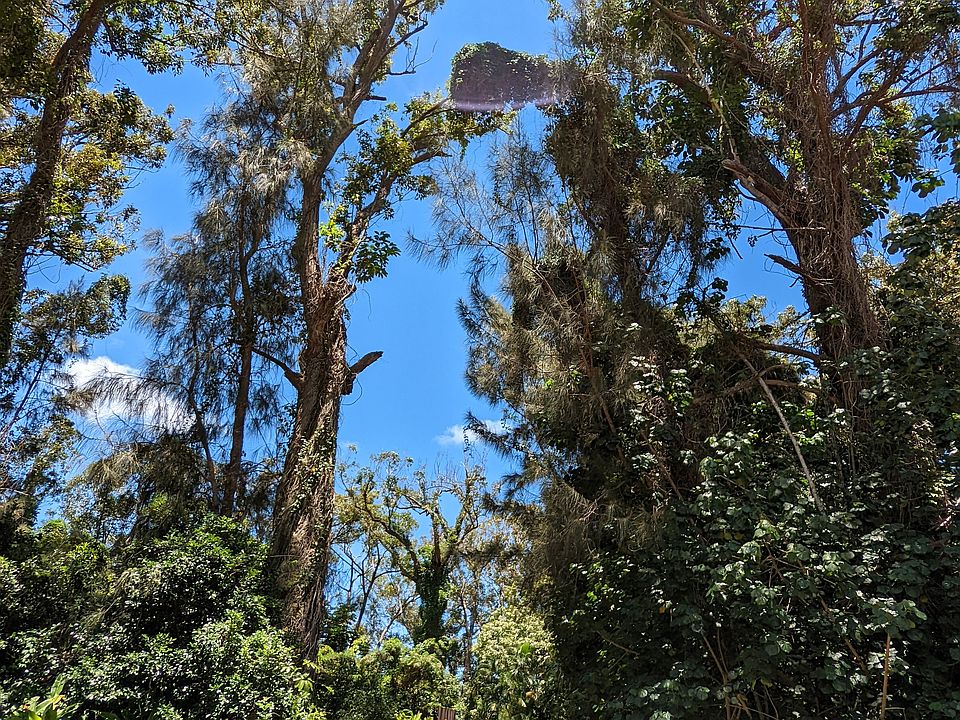 Entrance to property