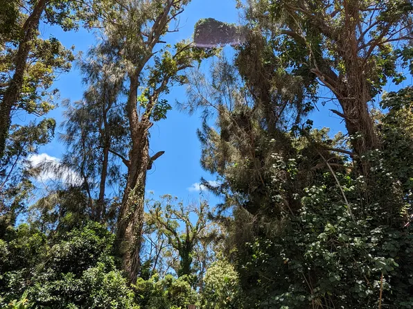 59-680A Pupukea Rd, Haleiwa, HI 96712