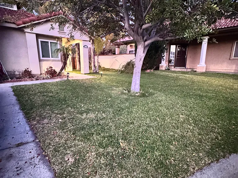 2019 Paseo Cresta — Photo 11