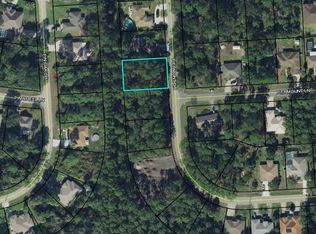 20 Piedmont Dr, Palm Coast, FL 32164