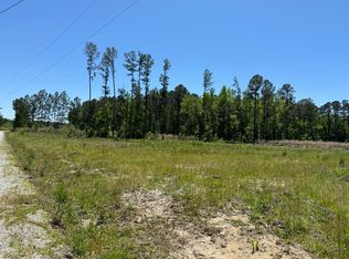 213 David St, Walterboro, SC 29488