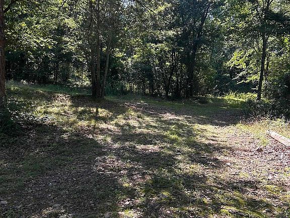 3rd image of Unk Polk Rd #164
