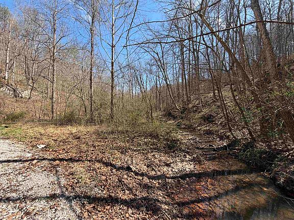 5th image of 0 Dunfee Rd
