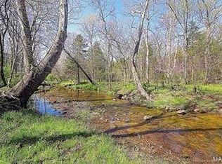 10788 Spicer Rd, Irondale, MO 63648