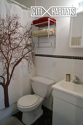 Rented by Citi Habitats | media 29