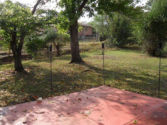 back yard