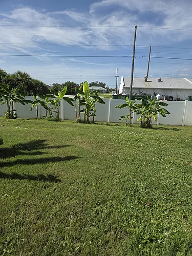 11111 Kimberly Ave #B Photo 1